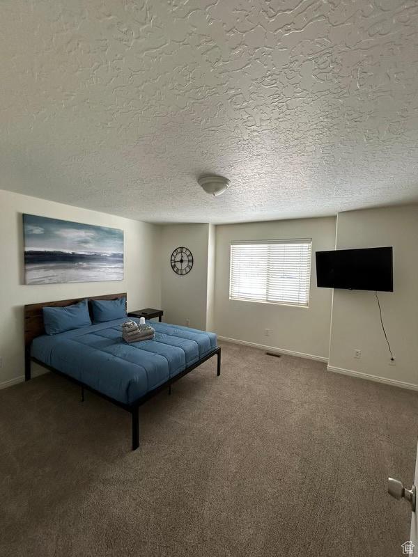 672 N 100 W, Vernal, UT 84078 - bedroom featuring carpet flooring and a textured ceiling