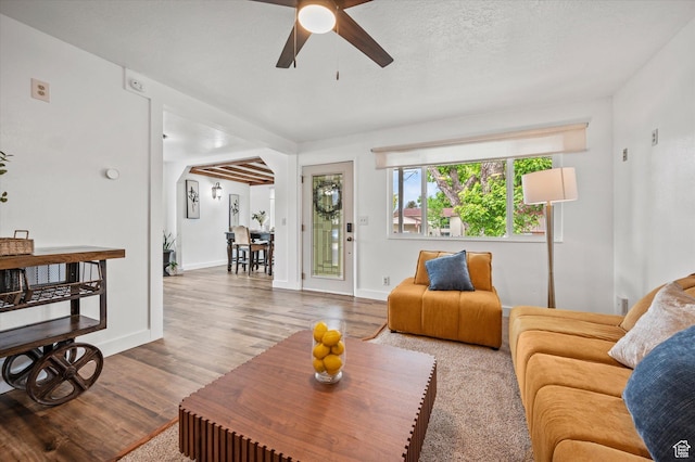 430 W 550 N, Logan, UT 84321 - living area featuring a ceiling fan, wood finished floors, baseboards, and arched walkways