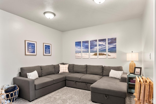 150 W Seasons Loop Unit 3, Garden City, UT 84028 - view of carpeted living room