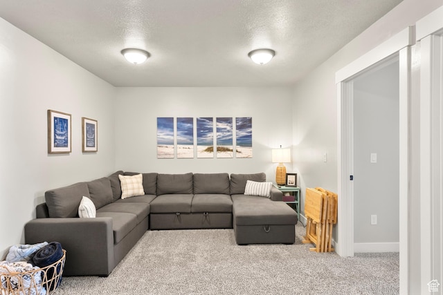 150 W Seasons Loop Unit 3, Garden City, UT 84028 - living area with carpet floors and a textured ceiling