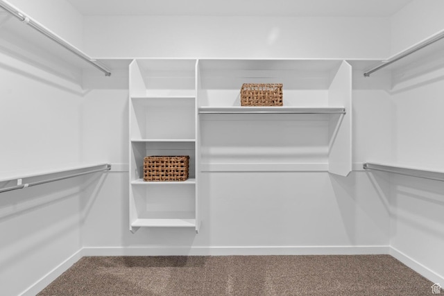 3719 E Padre Cv Unit 4092, Washington, UT 84780 - walk in closet featuring carpet