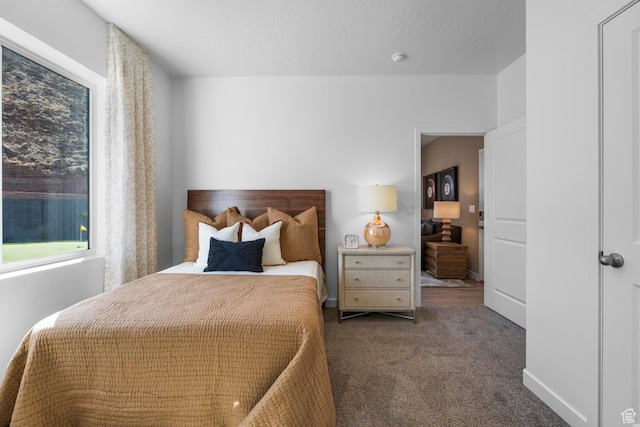 3719 E Padre Cv Unit 4092, Washington, UT 84780 - bedroom with carpet floors and baseboards