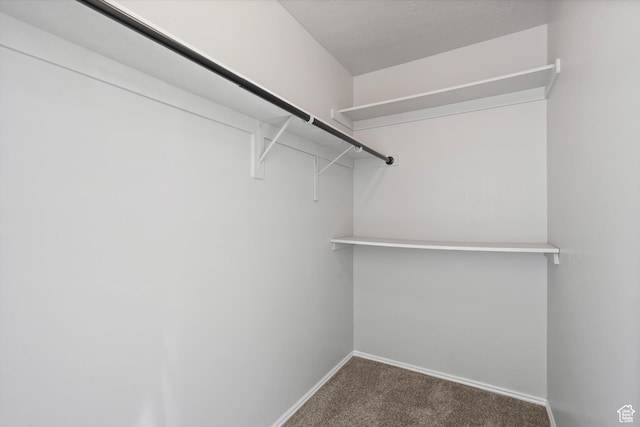 714 N 300 W, American Fork, UT 84003 - walk in closet featuring carpet