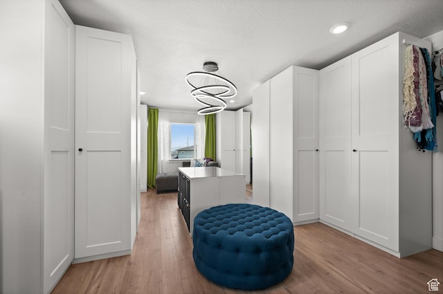 1067 W Ludington Ct, Bluffdale, UT 84065 - walk in closet featuring light wood finished floors
