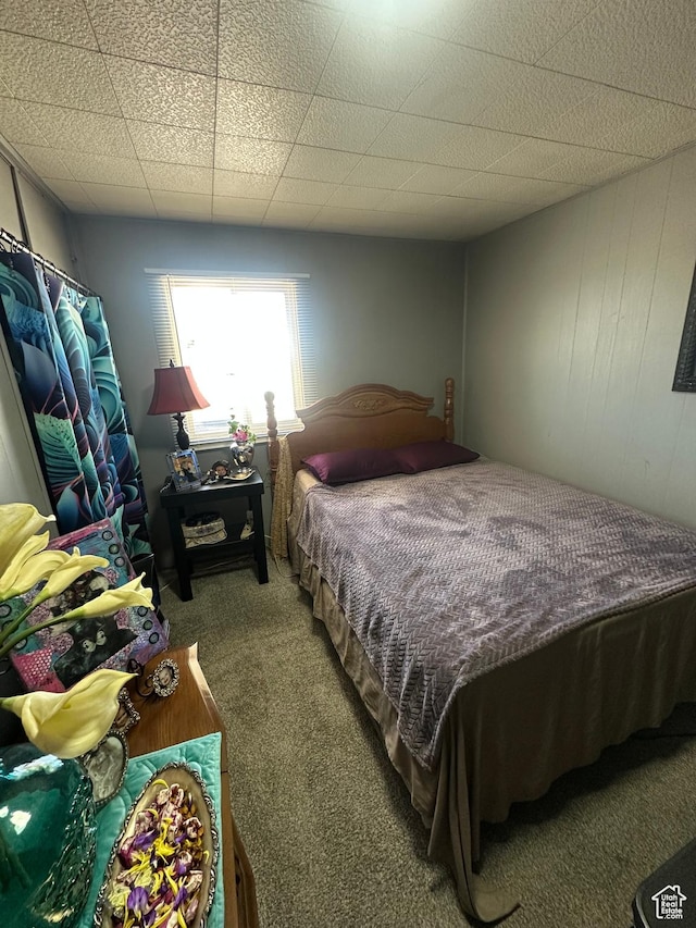 110 S 200 E, Cleveland, UT 84518 - view of carpeted bedroom