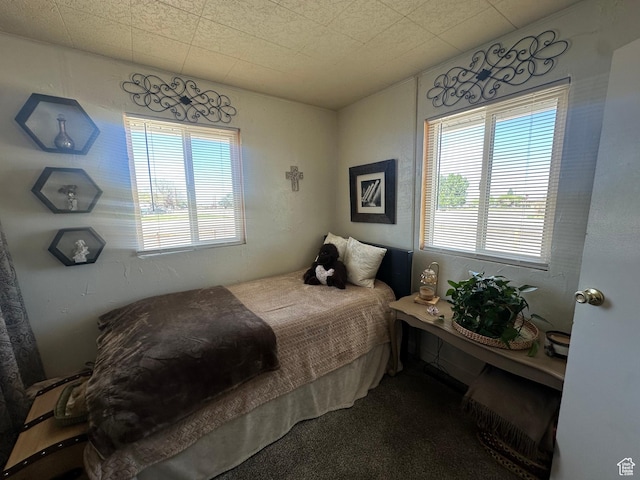 110 S 200 E, Cleveland, UT 84518 - bedroom featuring carpet flooring