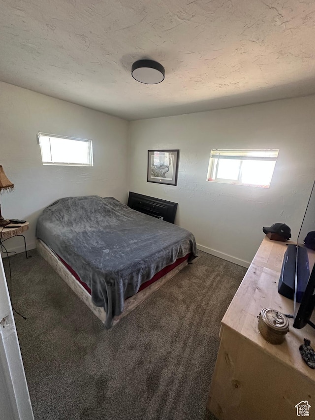 110 S 200 E, Cleveland, UT 84518 - bedroom with multiple windows, dark colored carpet, baseboards, and a textured ceiling