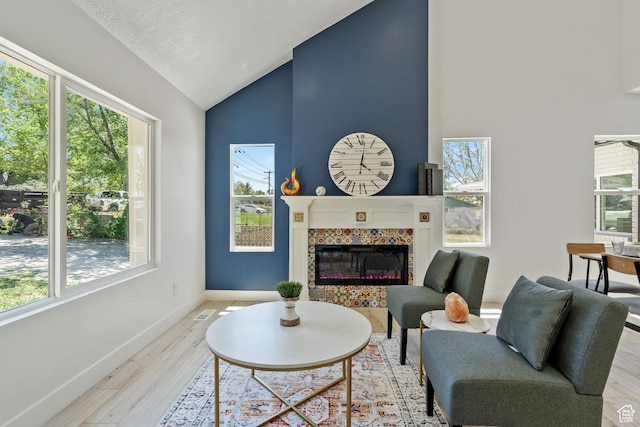 905 N 100 E, Pleasant Grove, UT 84062 - living room with wood finished floors, baseboards, high vaulted ceiling, and a fireplace