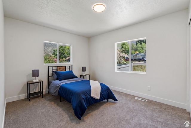 905 N 100 E, Pleasant Grove, UT 84062 - bedroom with multiple windows, a textured ceiling, carpet, and baseboards