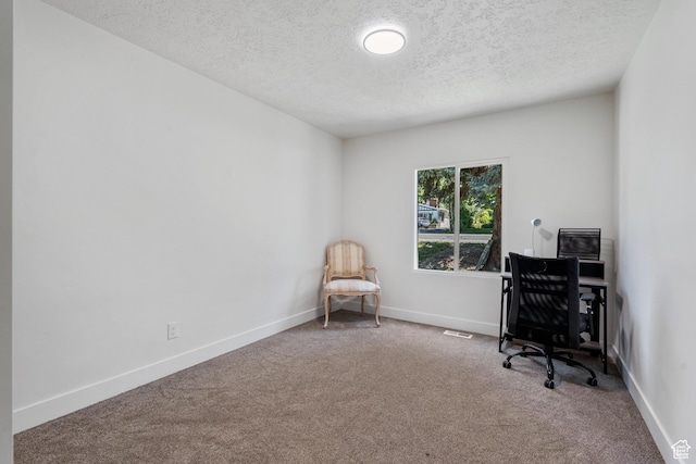 905 N 100 E, Pleasant Grove, UT 84062 - office space with a textured ceiling, carpet floors, and baseboards