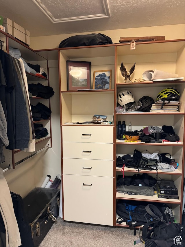 3996 S 855 E # B E, Millcreek, UT 84107 - walk in closet featuring carpet floors