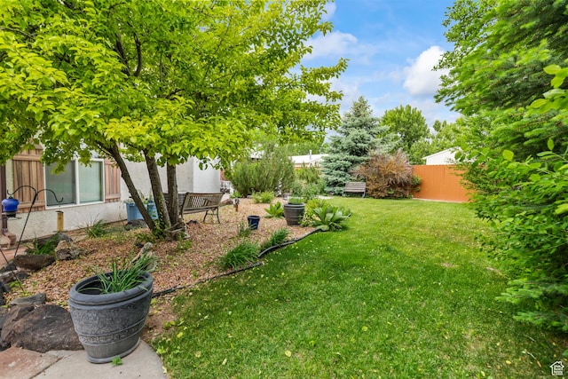 154 E 950 N, Glenwood, UT 84730 - view of yard