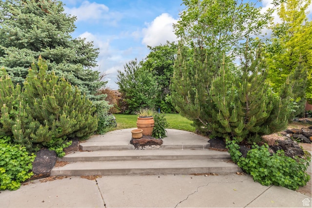 154 E 950 N, Glenwood, UT 84730 - view of yard