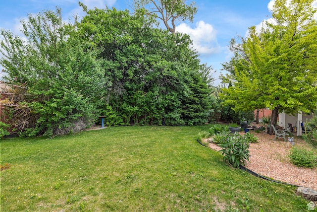 154 E 950 N, Glenwood, UT 84730 - view of green lawn