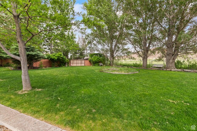 154 E 950 N, Glenwood, UT 84730 - view of grassy yard