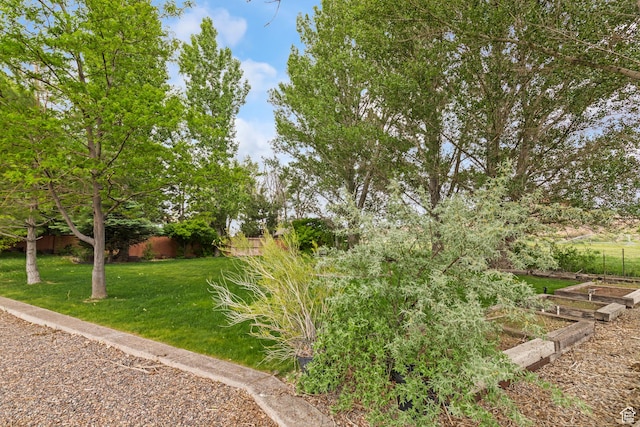 154 E 950 N, Glenwood, UT 84730 - view of yard with a vegetable garden