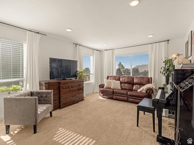 1512 W Fiore St, Farmington, UT 84025 - living area with carpet flooring and recessed lighting