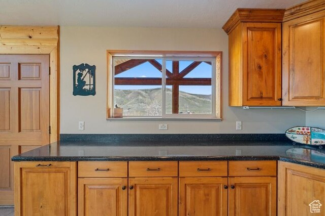 93 Mountain Ridge Cir, Scofield, UT 84526