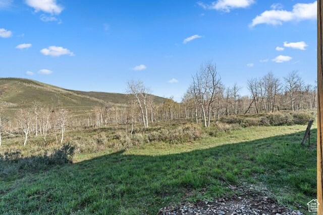 93 Mountain Ridge Cir, Scofield, UT 84526