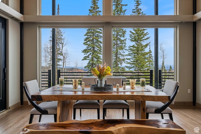466 N Elk Dr, Brian Head, UT 84719 - dining space with light wood-type flooring and baseboards