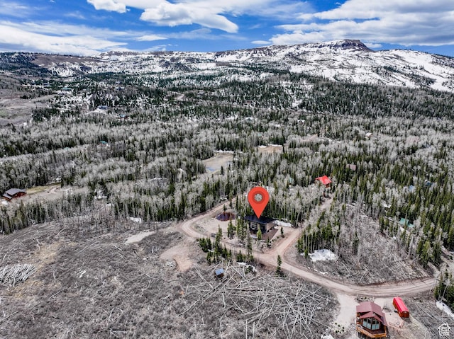 466 N Elk Dr, Brian Head, UT 84719 - snowy aerial view featuring a mountain view