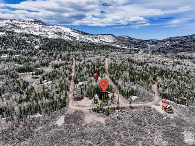 466 N Elk Dr, Brian Head, UT 84719 - mountain view featuring a forest