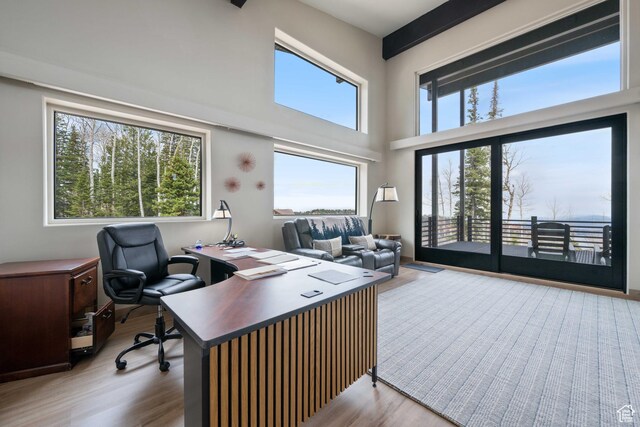 466 N Elk Dr, Brian Head, UT 84719 - office with wood finished floors and a towering ceiling
