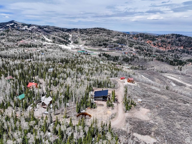 466 N Elk Dr, Brian Head, UT 84719 - mountain view