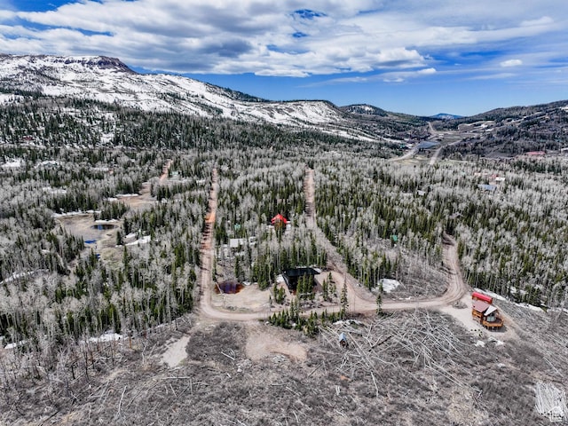 466 N Elk Dr, Brian Head, UT 84719 - view of mountain backdrop featuring a forest