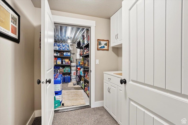 4548 N Sheep Creek Dr, Eden, UT 84310 - washroom featuring light colored carpet and baseboards