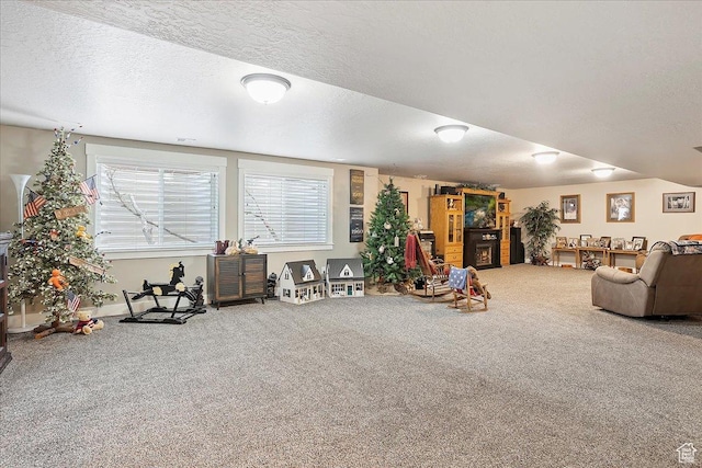 4548 N Sheep Creek Dr, Eden, UT 84310 - living room with carpet, a textured ceiling, and baseboards