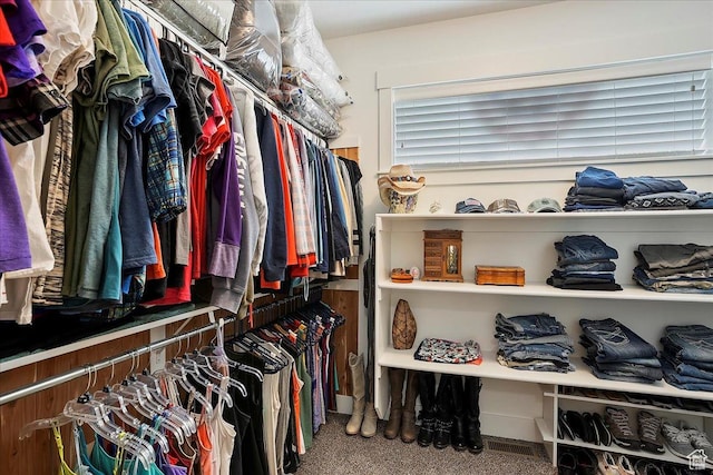 4548 N Sheep Creek Dr, Eden, UT 84310 - walk in closet with carpet floors