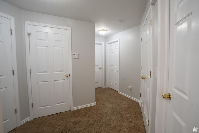 509 N Belmont Pl E Unit 171, Provo, UT 84606 - hallway with carpet floors and baseboards