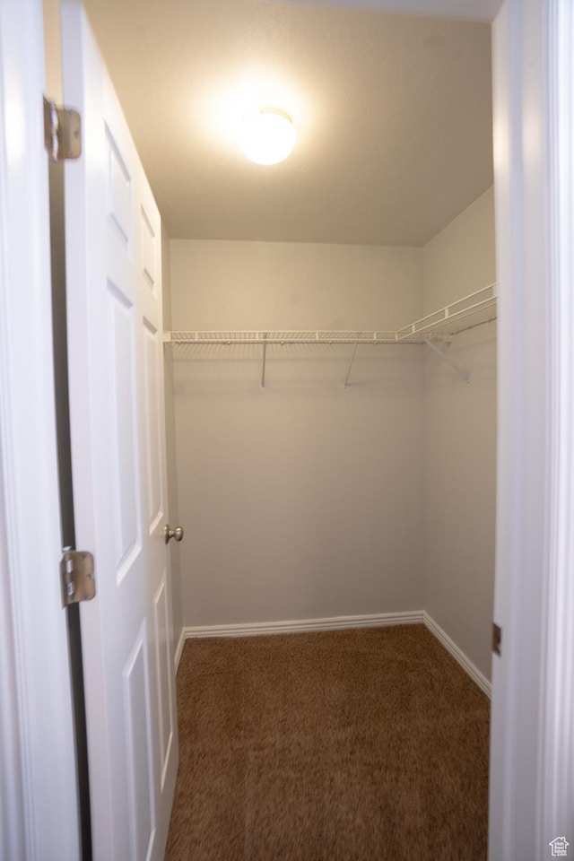 509 N Belmont Pl E Unit 171, Provo, UT 84606 - spacious closet featuring carpet floors