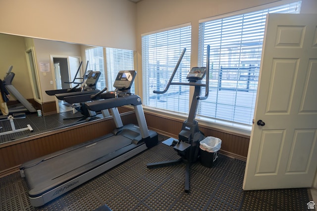 509 N Belmont Pl E Unit 171, Provo, UT 84606 - exercise area featuring carpet floors