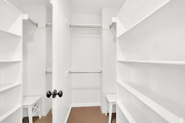 6782 S Courtland Ave, Cottonwood Heights, UT 84121 - walk in closet featuring carpet