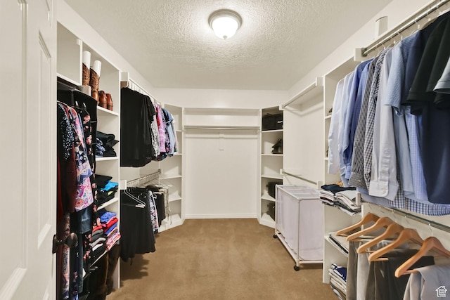 6782 S Courtland Ave, Cottonwood Heights, UT 84121 - walk in closet featuring carpet flooring