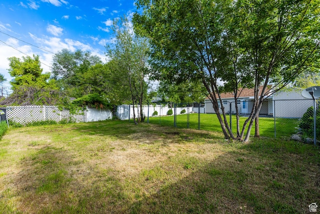 1006 E 300 N, Provo, UT 84606 - view of yard