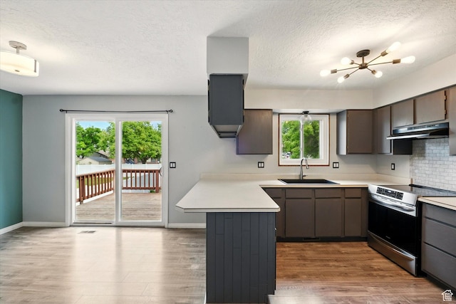 425 E 1200 N, Logan, UT 84341 - kitchen featuring a sink, stainless steel electric range, under cabinet range hood, a peninsula, and wood finished floors