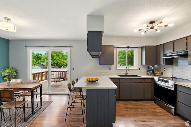 425 E 1200 N, Logan, UT 84341 - kitchen featuring a sink, electric stove, under cabinet range hood, a peninsula, and light countertops