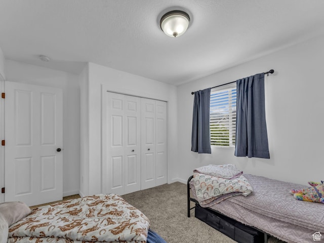 5472 Ardennes Way, Stansbury Park, UT 84074 - bedroom with a closet and carpet floors