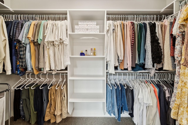7936 N Bristlecone Rd, Eagle Mountain, UT 84005 - view of walk in closet