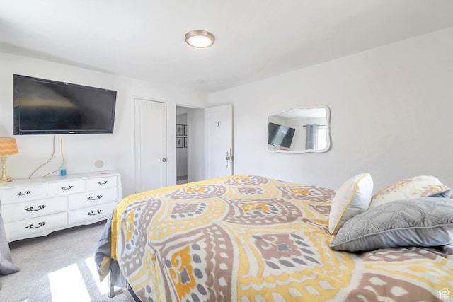 185 N 200 W, Delta, UT 84624 - bedroom featuring carpet floors and a closet