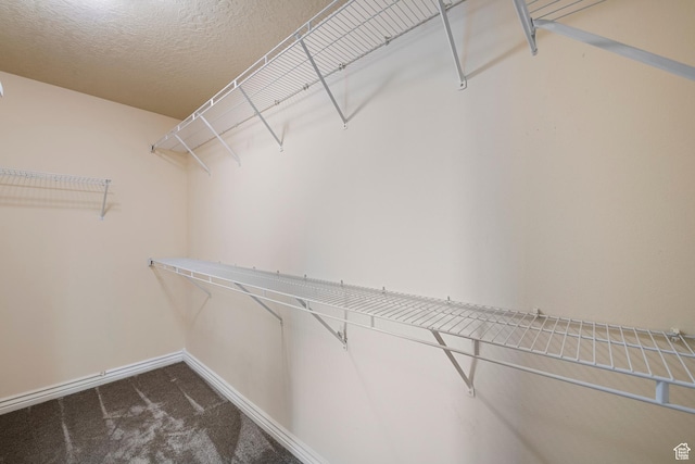 191 E Spencer Peak Way Unit I2, Draper, UT 84020 - spacious closet with dark carpet