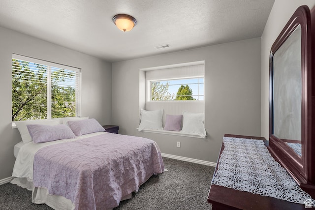 2318 N 2100 W, Clinton, UT 84015 - bedroom featuring multiple windows, dark colored carpet, and a textured ceiling