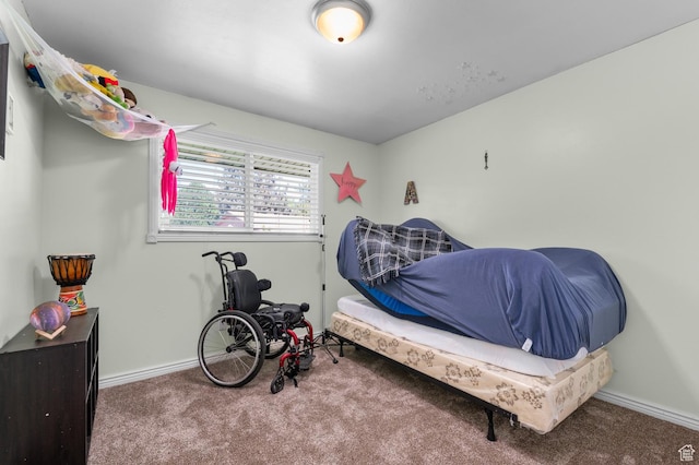 165 N 800 E, American Fork, UT 84003 - bedroom with carpet flooring and baseboards