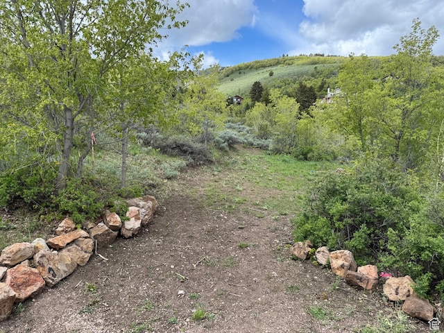 395 Hickock Dr Unit 309, Fish Haven, ID 83287 - view of yard with a wooded view