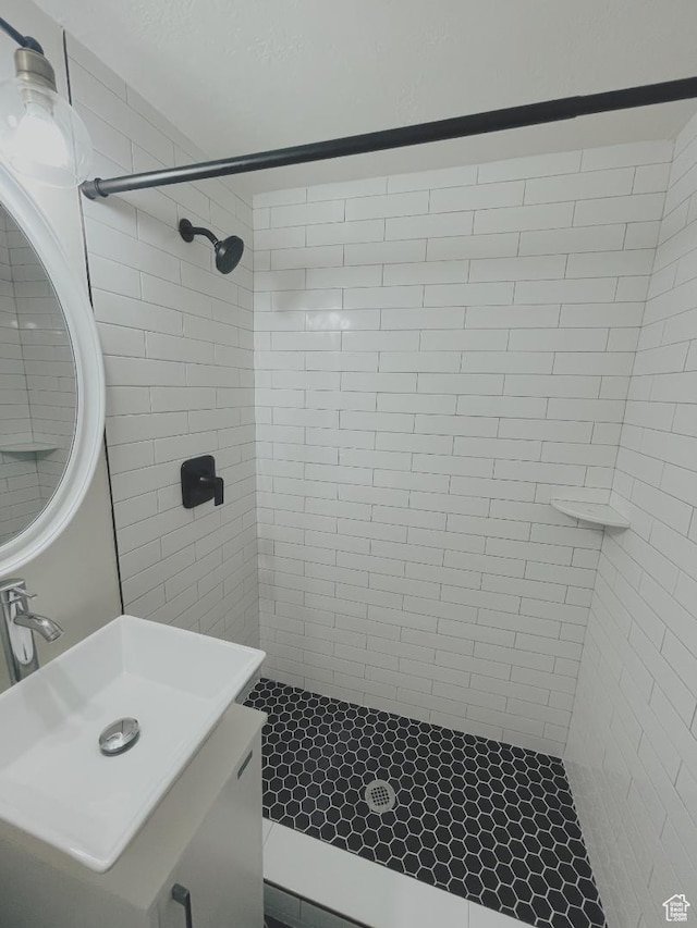 376 E Broadway, Salt Lake City, UT 84111 - full bathroom with tiled shower, vanity, and pet washing station