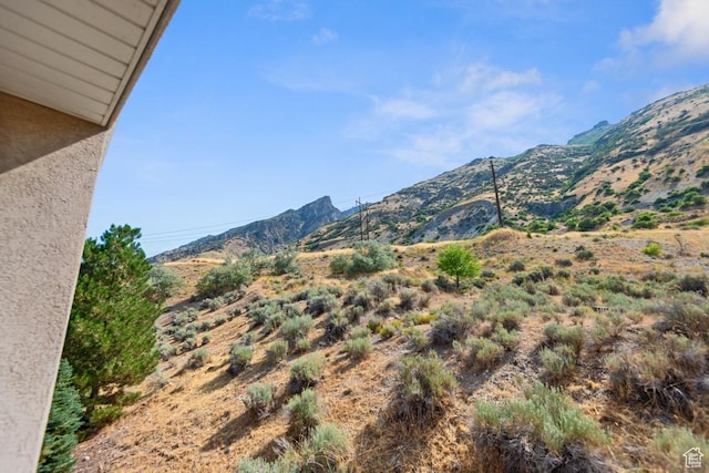 1183 S Canyon Meadow Dr Unit 2, Provo, UT 84606 - view of mountain background