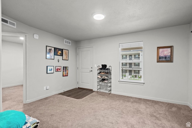 64 W 600 S Unit C205, Springville, UT 84663 - carpeted foyer entrance with baseboards and a textured ceiling